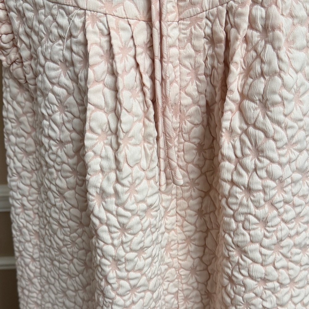 Pale Pink Textured Ruffled Sleeve Dress - Picture 13 of 16